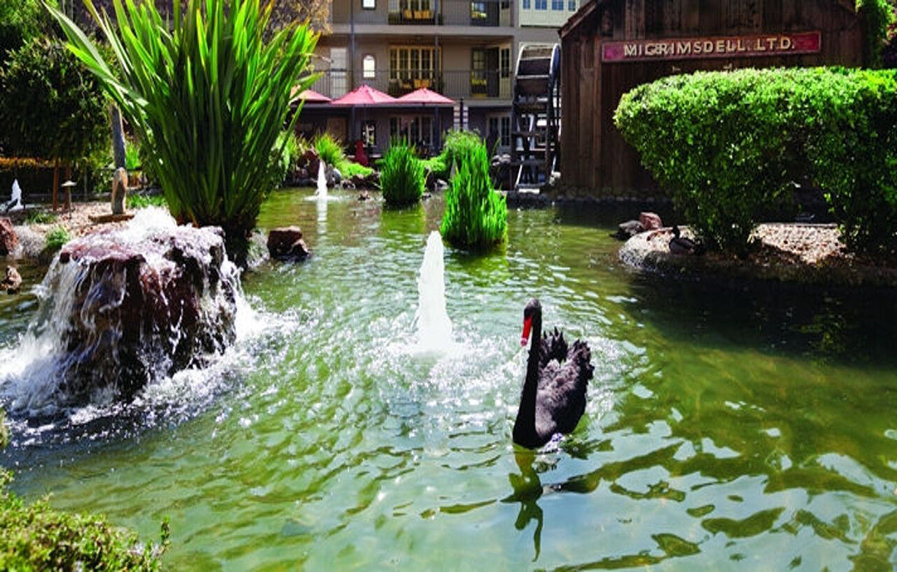 Embassy Suites By Hilton Napa Valley Exteriör bild